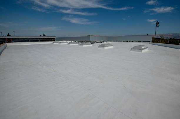 Best Roof Ventilation Installation  in Cortez, FL