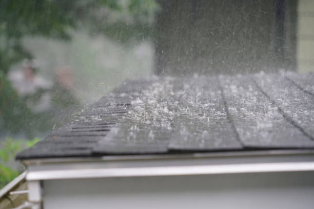 Best Roof Insulation Installation  in Cortez, FL