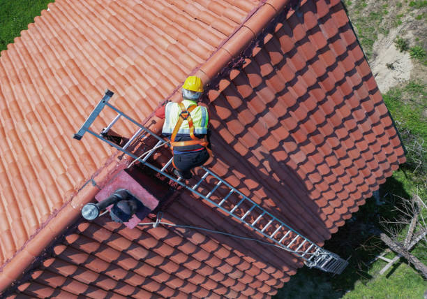 Professional Roofing Service in Cortez, FL